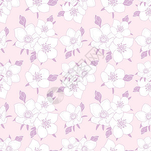 白色和白面紫色阿内酮无缝的光粉红色背景图案图片