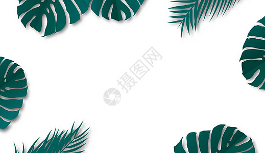 白色背景的怪兽和椰子叶 复制空间热带夏季矢量插图以及黑色绿色艺术情调叶子异国棕榈创造力植物横幅图片