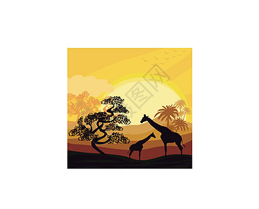 日落时长颈鹿的非洲大卡通沙万纳贺卡海报图片