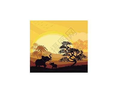 非洲卡通非洲草原纸牌海报     日落时的大象图片