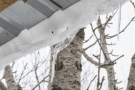 屋顶 白天空和冰水的冰柱 冬天风险窗户蓝天水晶季节天气天空危险房子冻结图片