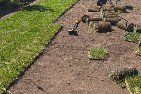 为新花园草坪铺设草皮草坪铺设概念地面草地绿色植物园艺院子法律手套土壤服务耀斑图片