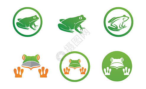 青蛙绿色标志和符号矢量集情调生态荒野动物野生动物公司树蛙乐趣吉祥物蟾蜍图片