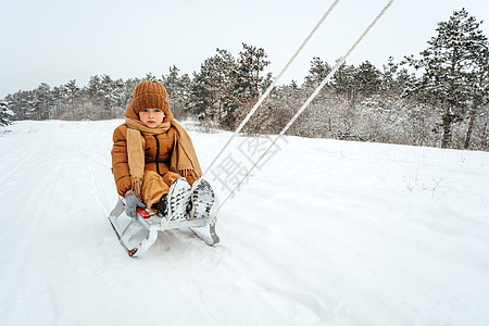 小小孩在冬天穿冬装 坐在雪地公园的雪橇上运动休闲活动喜悦男生季节童年婴儿闲暇幸福图片