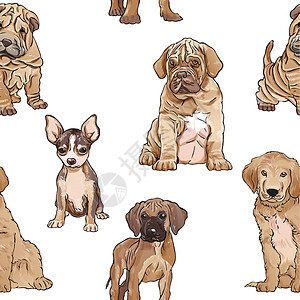 一组狗狗小狗 无缝水颜色 现实的矢量插图 在白色背景和文字图片