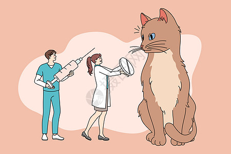 微小的医生治疗给猫提供药物的猫图片