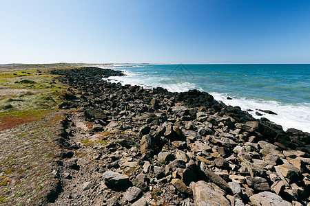 澳大利亚Barwon Head的第十三个海滩海岸国家海浪太阳旅行旅游冲浪动物群闲暇假期图片