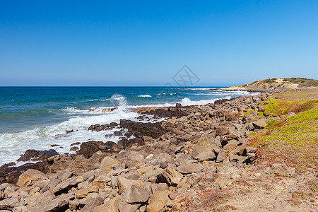 澳大利亚Barwon Head的第十三个海滩旅游闲暇动物群海浪太阳波浪国家植物群海洋晴天图片