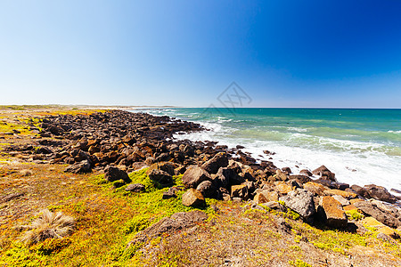 澳大利亚Barwon Head的第十三个海滩海浪国家海岸太阳晴天闲暇波浪海洋旅游冲浪图片