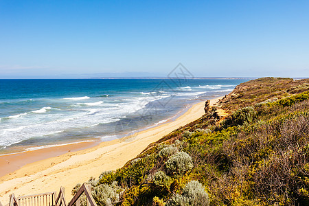 澳大利亚Barwon Head的第十三个海滩冲浪旅游植物群海岸闲暇动物群波浪晴天海浪假期图片