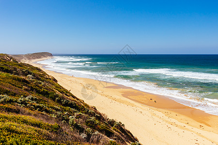 澳大利亚Barwon Head的第十三个海滩旅行植物群海浪晴天旅游冲浪海洋海岸太阳闲暇图片