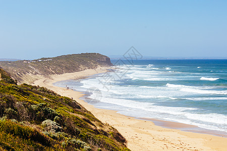 澳大利亚Barwon Head的第十三个海滩植物群晴天旅游太阳海浪旅行波浪动物群假期国家图片