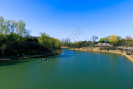 中国北京奥林匹克森林公园春景 鲜花盛开自由季节草地顶峰太阳农村海拔天空阳光紫色图片