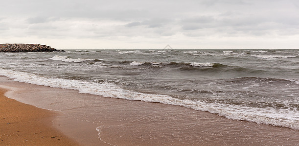 巨大的海浪在海上肆虐 海鸥在波浪喷射环境海岸大风气旋天空蓝色海洋飞行泡沫动物图片