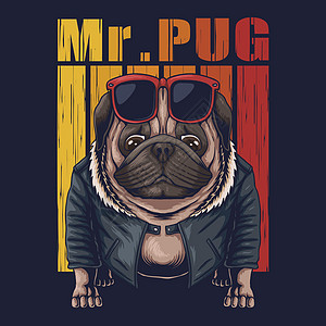 Pug Dog 冷狗矢量插图戏服男生斗牛犬夹克艺术卡通片小狗动物青年海报图片