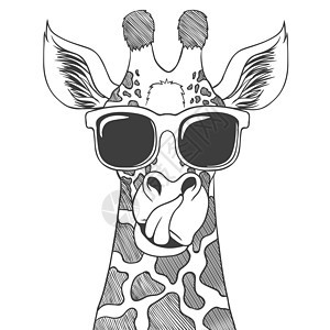 手画矢量插图 佩戴眼镜的Giraffe图片