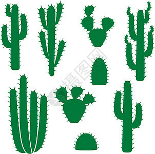 Cactus 矢量收集( 集)图片