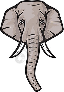 印度大象头宗教金子插图繁荣皮肤马戏团荒野动物园偶像野生动物图片