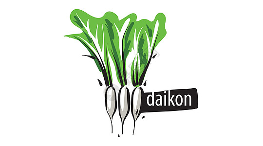 绘制白背景上的 Daikon 孤立图片