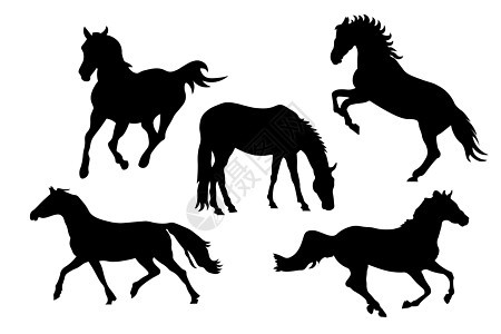 一组黑白马的轮廓 包括奔跑 跳跃 搏斗和养殖 矢量插图 EPS图片