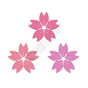 樱花有三种不同的颜色 矢量图片