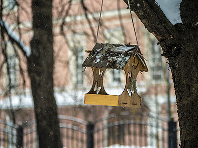 城市冬季公园树枝上的鸟屋 户外照片图片