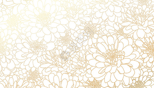 金金菊花在手画的 白底线上的美术图片