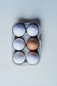 例外的是 演播室拍摄了一个盒子的灰色背景 里面有6打鸡蛋 一个蛋不同于其他蛋 (笑声)图片