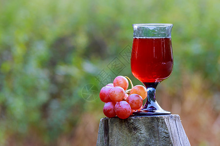 红酒杯和木制桌上的葡萄藤蔓玻璃农村浆果桌子葡萄园食物甜点花园树叶图片
