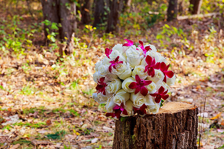 新婚花束 美丽的玫瑰图片