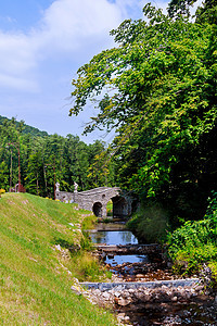 横跨一条快流河的桥瀑布建筑学植物阴影墙纸池塘荒野旅游森林环境图片