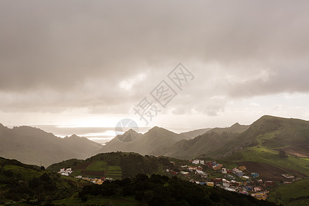 欧洲藤本月季花拉斯梅塞德斯 特纳里夫 德贾迪娜的美景背景