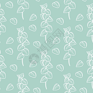 白色的Eucalyptus小白带 绿色背景 无缝无缝模式图片