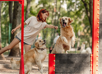 女孩带着金色寻金犬动物训练朋友孩子公园快乐女性童年友谊闲暇图片