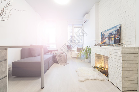 时尚现代设计的单间公寓 布局自由 风格极简 非常明亮宽敞的房间 白色的墙壁和木制元素 带壁炉的休息区图片