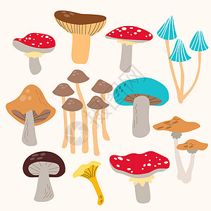 大不同的蘑菇集 食用和有毒真菌集合与 cep 飞木耳 toadstood 滑杰克 红褐色 milkcap 鸡油菌 白蘑菇 牛肝菌图片