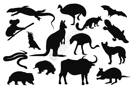 澳大利亚动物环影集 矢量示意图 EPS图片