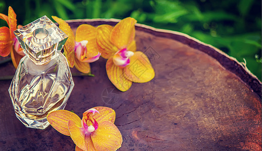 白底隔绝的碗中含有基本油和兰花的瓶子香味植物群液体背景香气奢华玻璃卫生香水身体图片