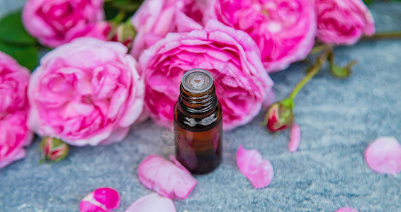 茶叶玫瑰的精油提取 有选择的重点花瓣香水温泉草药背景疗法生活按摩化妆品水疗图片