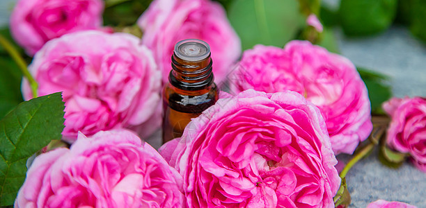 茶叶玫瑰的精油提取 有选择的重点生活药品身体水疗草药按摩横幅芳香中心化妆品图片