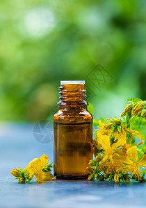 圣约翰草药的精密提取油料 有选择的重点背景酊剂野花瓶子花园植物药品滴管玻璃横幅图片