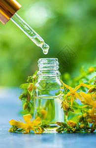 圣约翰草药的精密提取油料 有选择的重点植物群花瓣瓶子叶子药剂植物滴管酊剂荒野背景图片