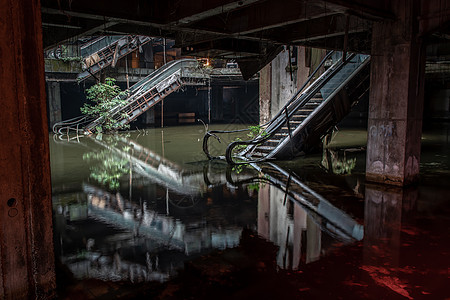在废弃的购物中心大楼里 损坏了扶梯和水流框架黑暗材料设施历史绿树金属废墟自动扶梯生长图片
