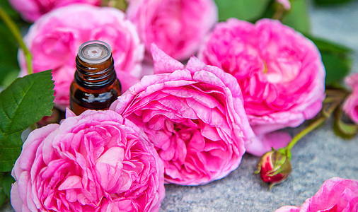 茶叶玫瑰的精油提取 有选择的重点化妆品花瓣皮肤芳香香水横幅药品温泉背景沙龙图片