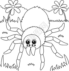 儿童Tarantula 动物颜色页面图片