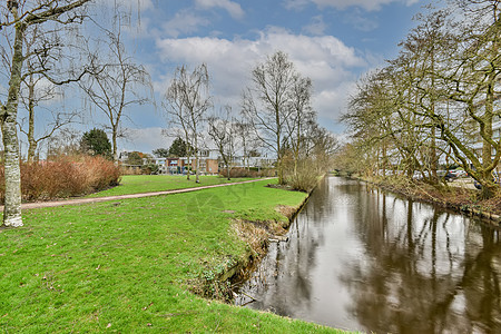 一个带树木的小运河的景象图片