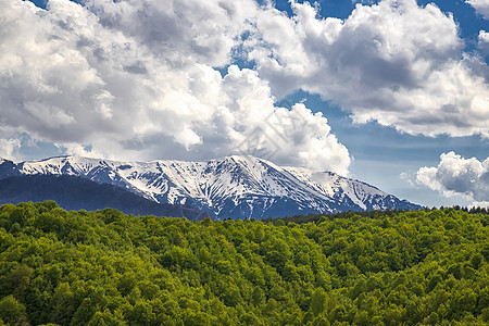 春天风景优美 山丘积雪 森林绿图片