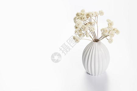 复制空间 文本位置 有白干鲜花的花瓶站在情人节的托盘上 孤立于白色背景图片