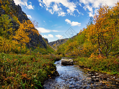 秋天在基比尼山脉的河水下叶子流动旅游远足森林风景溪流岩石植物蓝色图片