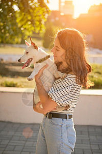 狗育种正在绿公园和主人玩耍 夏季或秋天开始 自然 宠物护理和培训概念猎犬牧师动物女孩友谊女性乐趣耳朵伴侣幸福图片